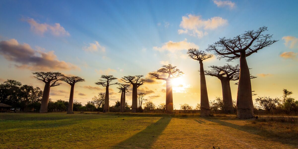 Crisi ecologica e spiritualità. Il contributo dell’Africa