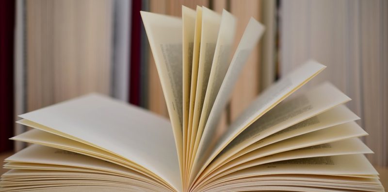 Rassegna bibliografica 4049