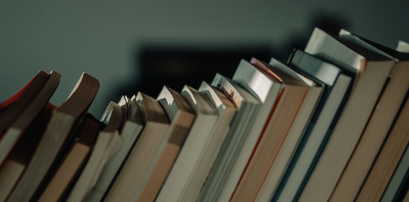Rassegna bibliografica 4027