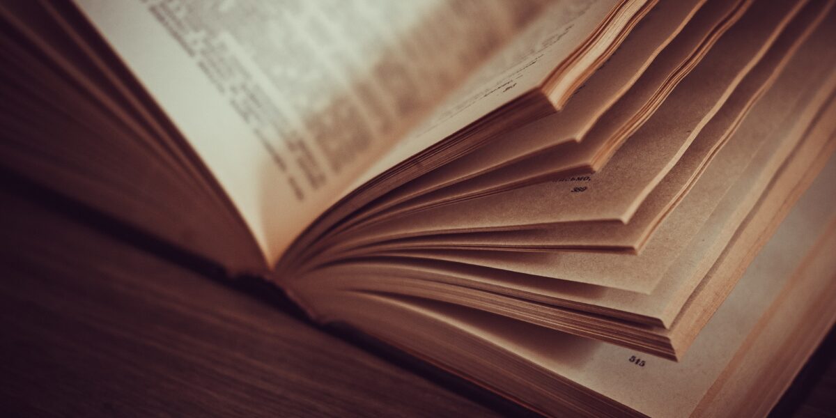Rassegna bibliografica 4028