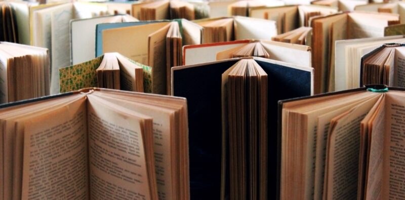 Rassegna bibliografica 4061