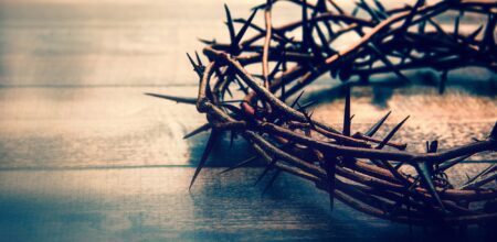 Crown of thorns. Foto: iStock/Arrangements-Photography