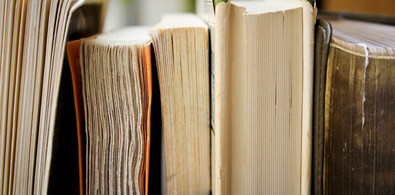 Rassegna bibliografica 4086
