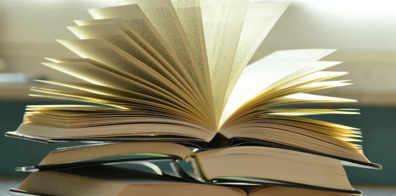 Rassegna bibliografica 4092