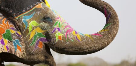 Decorated elephant (iStock/davidevison)