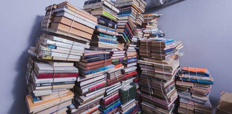 Rassegna bibliografica 4088