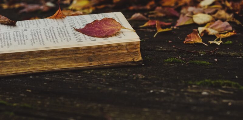 Gesuiti e poesia