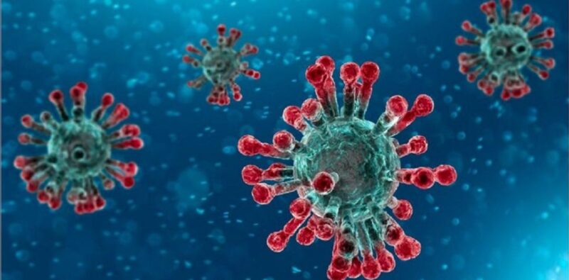 La politica del Coronavirus