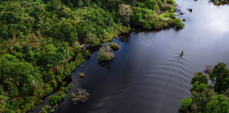 «Querida Amazonia», fra racconto e metafora