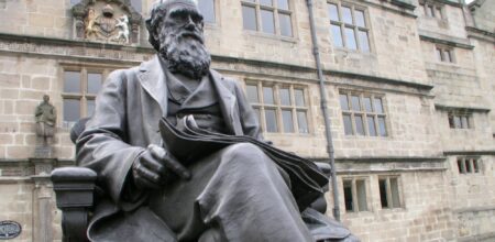 Darwin's statue