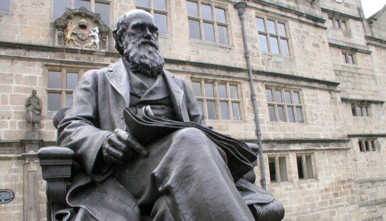 Darwin's statue