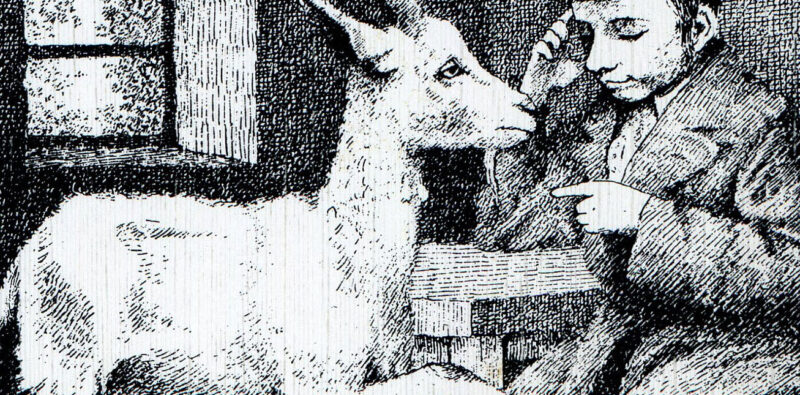 Rassegna bibliografica 4126