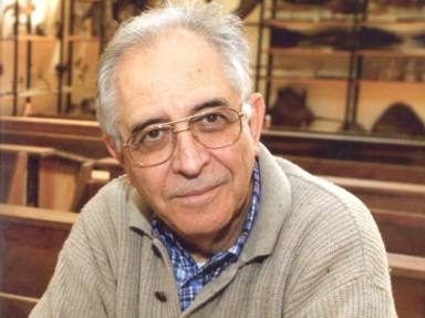 Il pensiero critico davanti alla cultura della banalità
