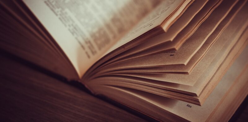 Rassegna bibliografica 4149