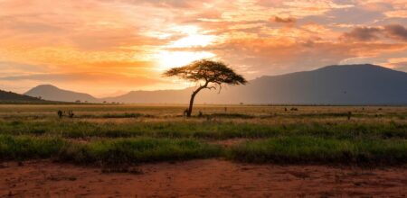 Paesaggio africano.