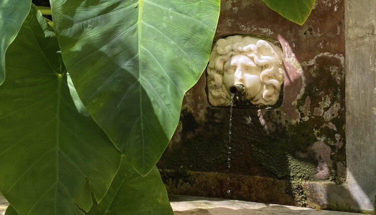 Giardino della Minerva, particolare (Foto: Jaya Di Domenico)